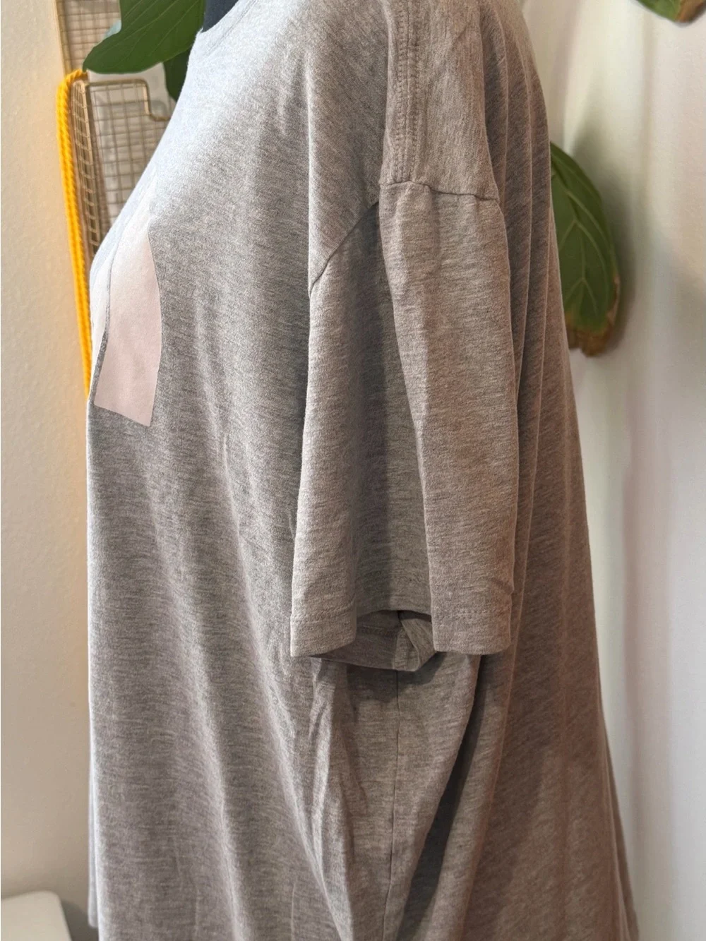 The North Face classic short